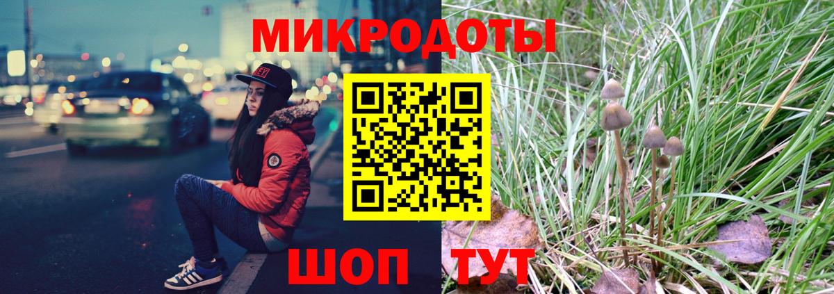 Новочебоксарск  Галлюциногенные грибы GOLDEN TEACHER  Вход с VPN 