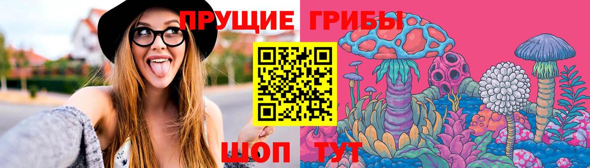 Псилоцибиновые грибы мицелий Новочебоксарск
